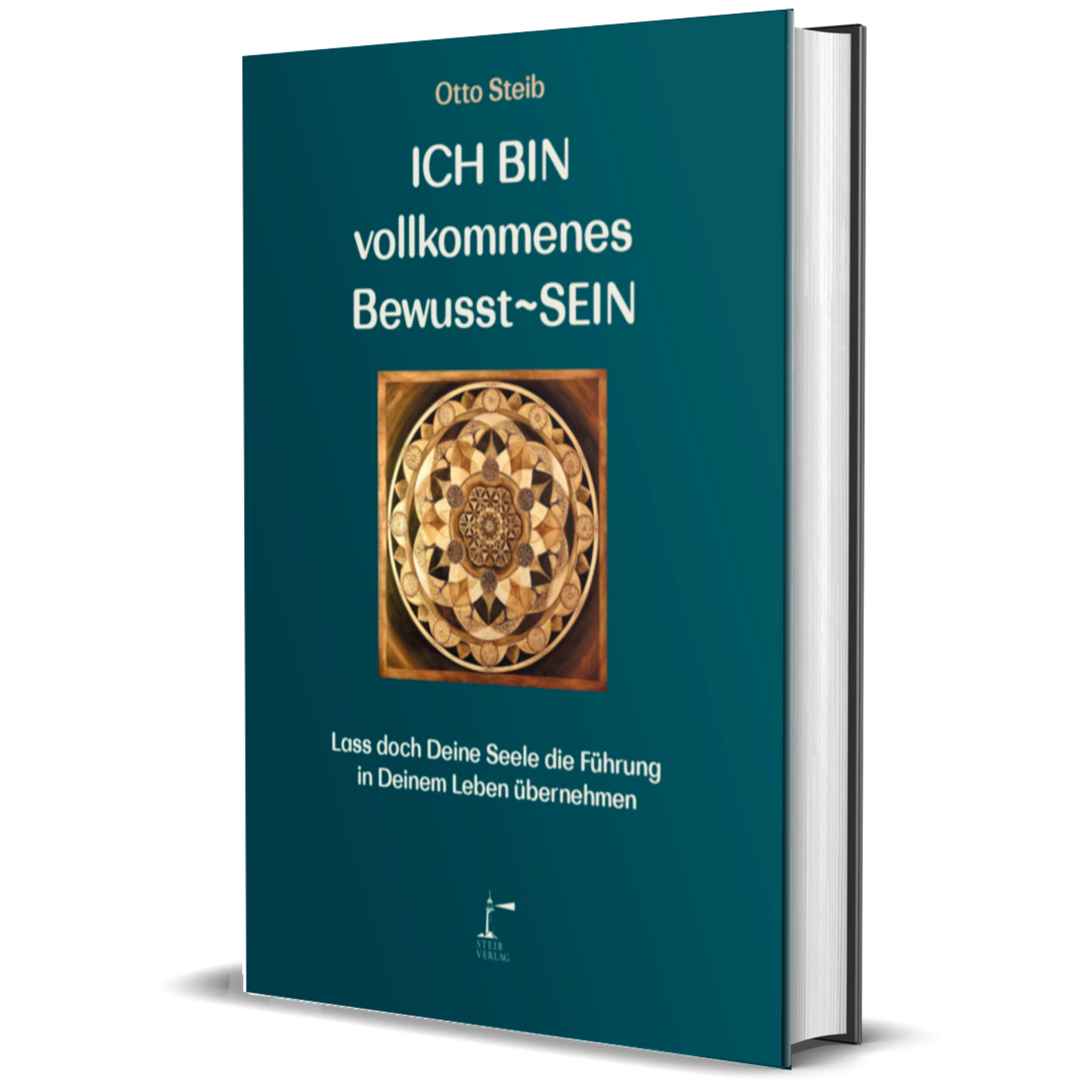 ICH BIN vollkommenes Bewusst~SEIN